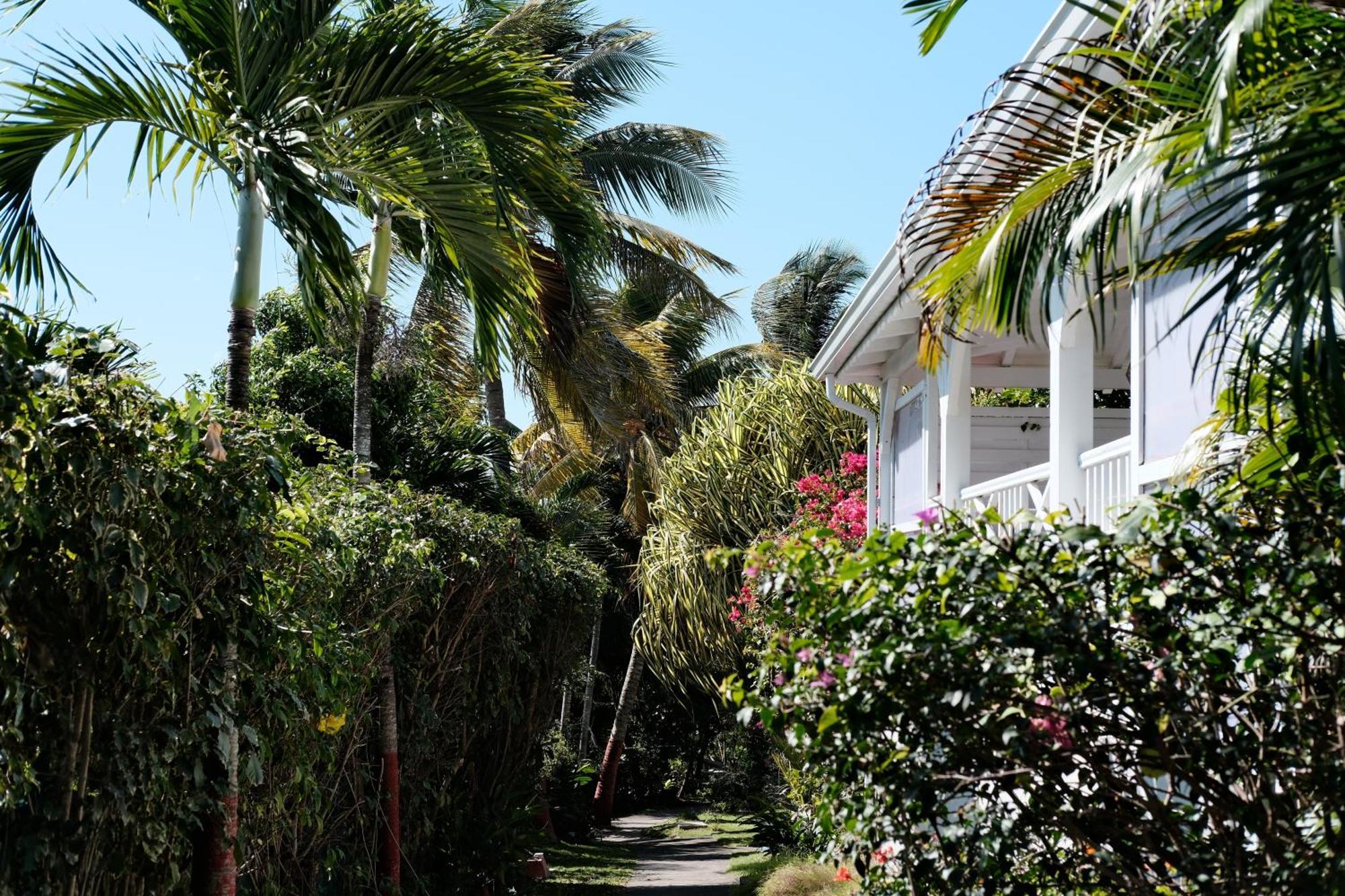 Nid Kreyol Villa Sainte-Anne  Dış mekan fotoğraf