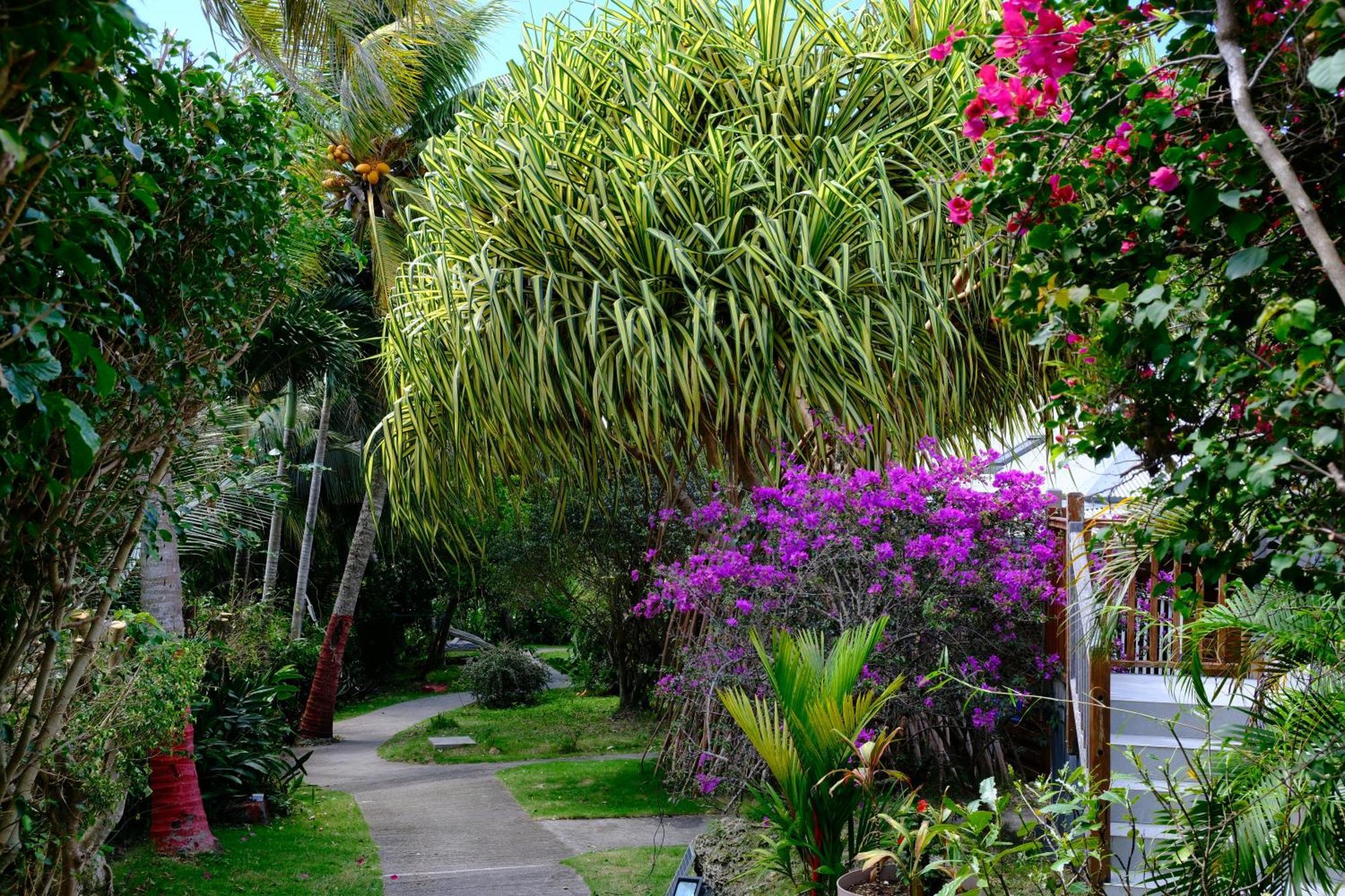 Nid Kreyol Villa Sainte-Anne  Dış mekan fotoğraf